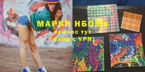 индика Богородицк