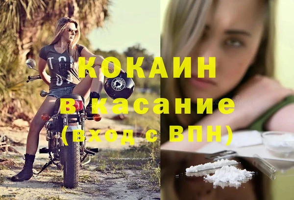 индика Богородицк