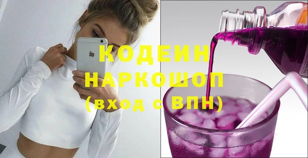 индика Богородицк