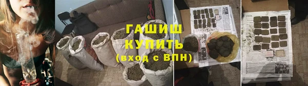 индика Богородицк