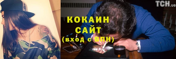 индика Богородицк