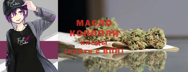 индика Богородицк