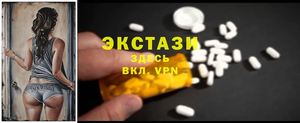 индика Богородицк