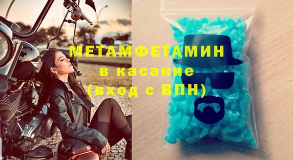 индика Богородицк
