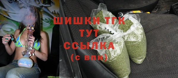 спиды Богородск