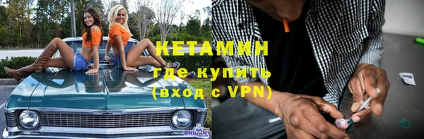 индика Богородицк