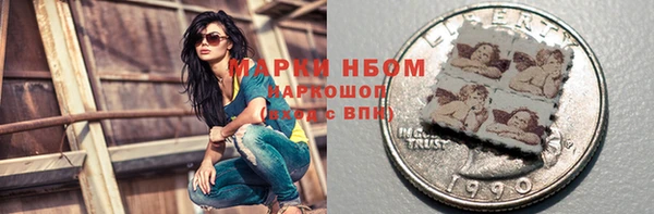индика Богородицк