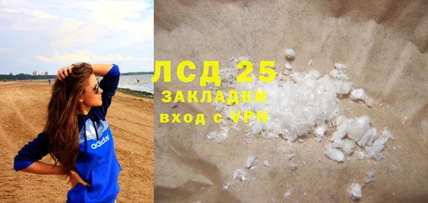 индика Богородицк