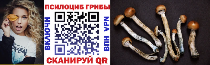Псилоцибиновые грибы мухоморы  omg ONION  Кондрово 